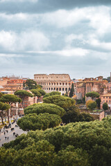 Fototapeta na wymiar the roman colosseum view of the city 