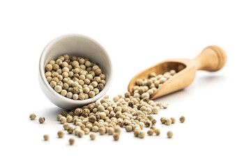 Whole pepper spice. White peppercorn grain in bowl.