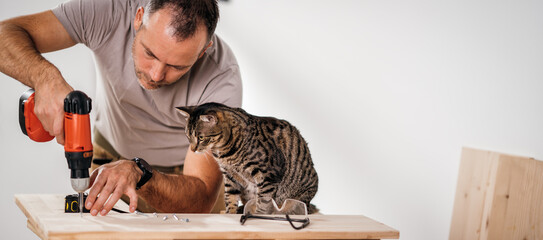 Fototapeta a man assembling furniture while his cat watches curiously obraz