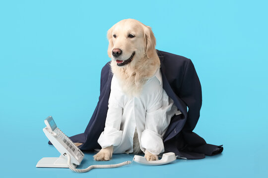 Business dog with telephone on color background