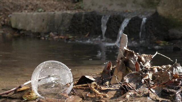 Contaminaci&oacute;n en un peque&ntilde;o r&iacute;o, un vaso tirado en medio del agua.