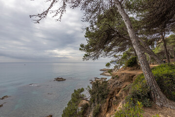 Mediterranean Sea, Spain, Costa Brava. Picturesque landscape with azure sea. Pine trees on the shores of the azure coast. A beautiful beach with lush greenery.