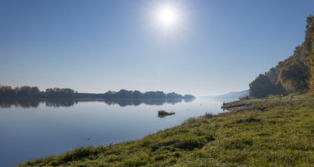 Autumn landscape in the early morning with a view of the river. Large trees with yellow leaves in the backlight. Yellow leaves on trees and bushes are illuminated by the rays of the rising sun.