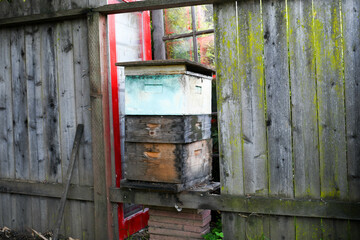 Weathered Beehives