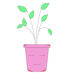 plant in a pot vector illustration