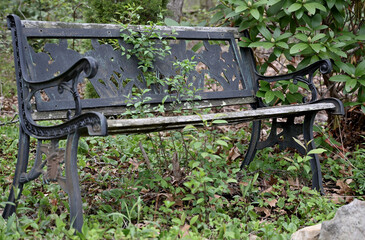rusty bench in the woods