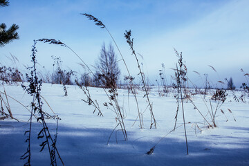 winter day landscape, snow hills and nature