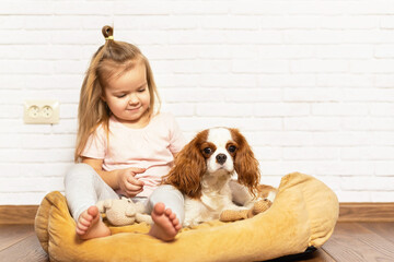 Adorable little girl with puppy playing at home. Child with little dog indoor. The best and friendliest pet for kids and families, love for pet, love for dogs, special relationship with the pet.