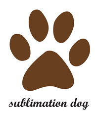 cat and dog