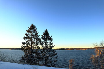 Pretty landscape by the sea. Fir trees and some snow. Lake Mälaren. Stockholm, Sweden.