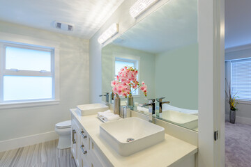 Fragment of a luxury bathroom