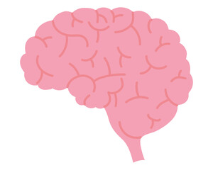 human brain icon