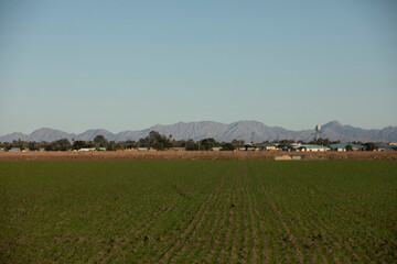Afternoon view of of the city of Somerton, Arizona, USA.