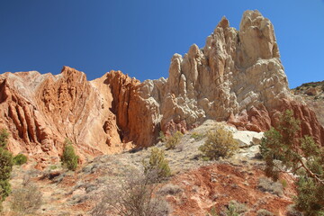 Fototapeta premium Cotton Wood Canyon Road VIews