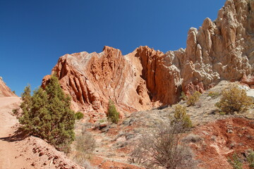 Cotton Wood Canyon Road Views
