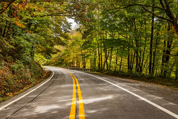 Winding Country Road in West Virginia