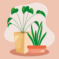 Naklejka na ściany i meble home plants illustration