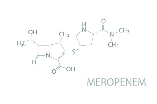 Meropenem molecular skeletal chemical formula.