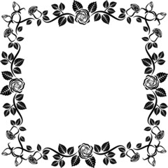 rose frame