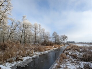 Zimowy poranek nad rzeką