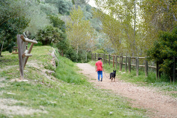 Fototapeta na wymiar Cute little boy, walking his little pet dog in rural rapeseed field next to him, boy walking on a small path