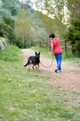 Cute little boy, walking his little pet dog in rural rapeseed field next to him, boy walking on a small path
