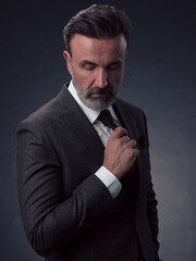 Portrait of a stylish elegant senior businessman with a beard and casual business clothes in photo studio adjusting suit