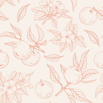 Vector seamless pattern branches with fruits and flowers of the apple tree. Hand drawn linear elements. Illustration for design background packaging card textile fabric.