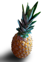 A pineapple with white background