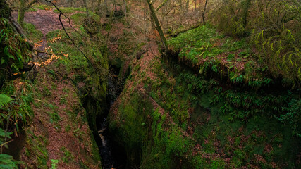 The Devils Pull Pit - The Finnich Glen