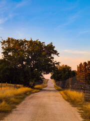Road in Autumn