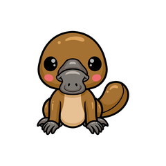 Cute baby platypus cartoon posing