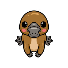 Cute baby platypus cartoon posing