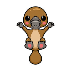 Cute baby platypus cartoon raising hands