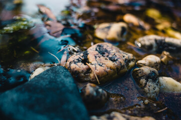 Rocks on the shore