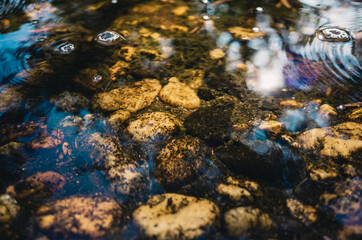 Obraz na płótnie Canvas Rocks in a pond