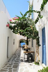 Picturesque alley with typical Cycladic architecture and bougainvillea in Paros, Greece