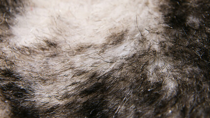 Macro close up of a fur like material texture