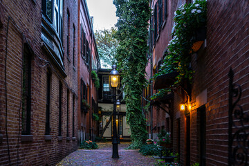 Alley with brownstones on both sides with climbing common ivy and street lamps - Powered by Adobe