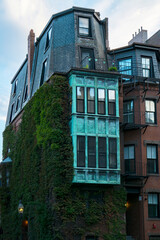 Fototapeta premium Historic brownstone houses with big windows and copper teal wall in Boston, Massachusetts. Climbing ivy plant on the wall