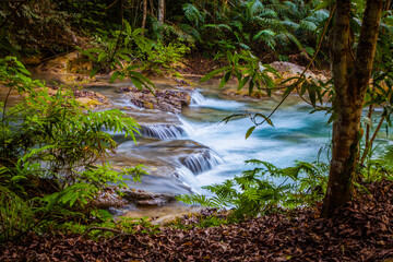 Cascadas Magicas Copalitilla