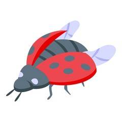 Flying ladybug icon isometric vector. Cute bug. Insect beetle