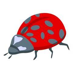 Red ladybird icon isometric vector. Cute bug. Insect garden