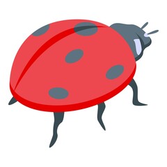 Fototapeta premium Summer ladybug icon isometric vector. Cute bug. Garden beetle