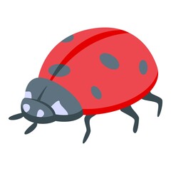 Classic ladybug icon isometric vector. Insect bug. Garden beetle