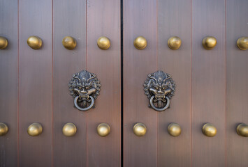 dragon head door knocker on a large wooden door