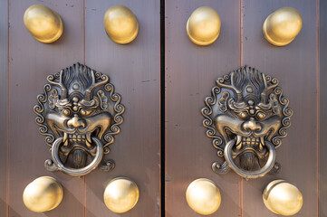 dragon head door knocker on a large wooden door