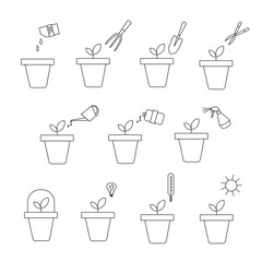 Icons with images of various stages of growing plants in pots: watering, loosening, processing, pruning, watering and others. Suitable for use on websites, in articles, labels. 