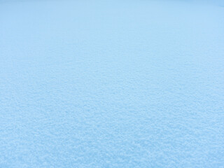 一面に降り積もった雪