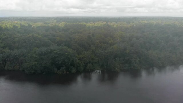 Aerial view of Amazon river and jungle on a cloudy day